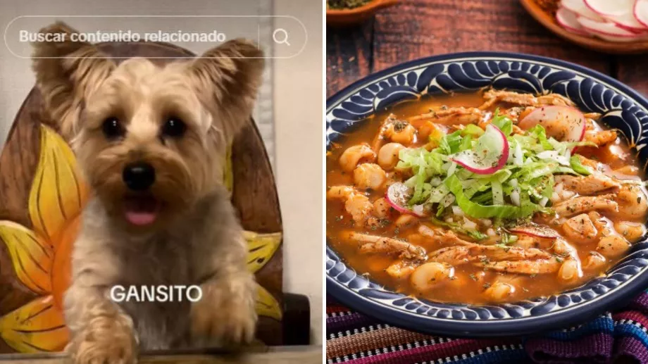 Le chien est devenu viral sur TikTok pour sa réaction mignonne de vouloir manger du pozole. (TikTok @beatrizmendez518)